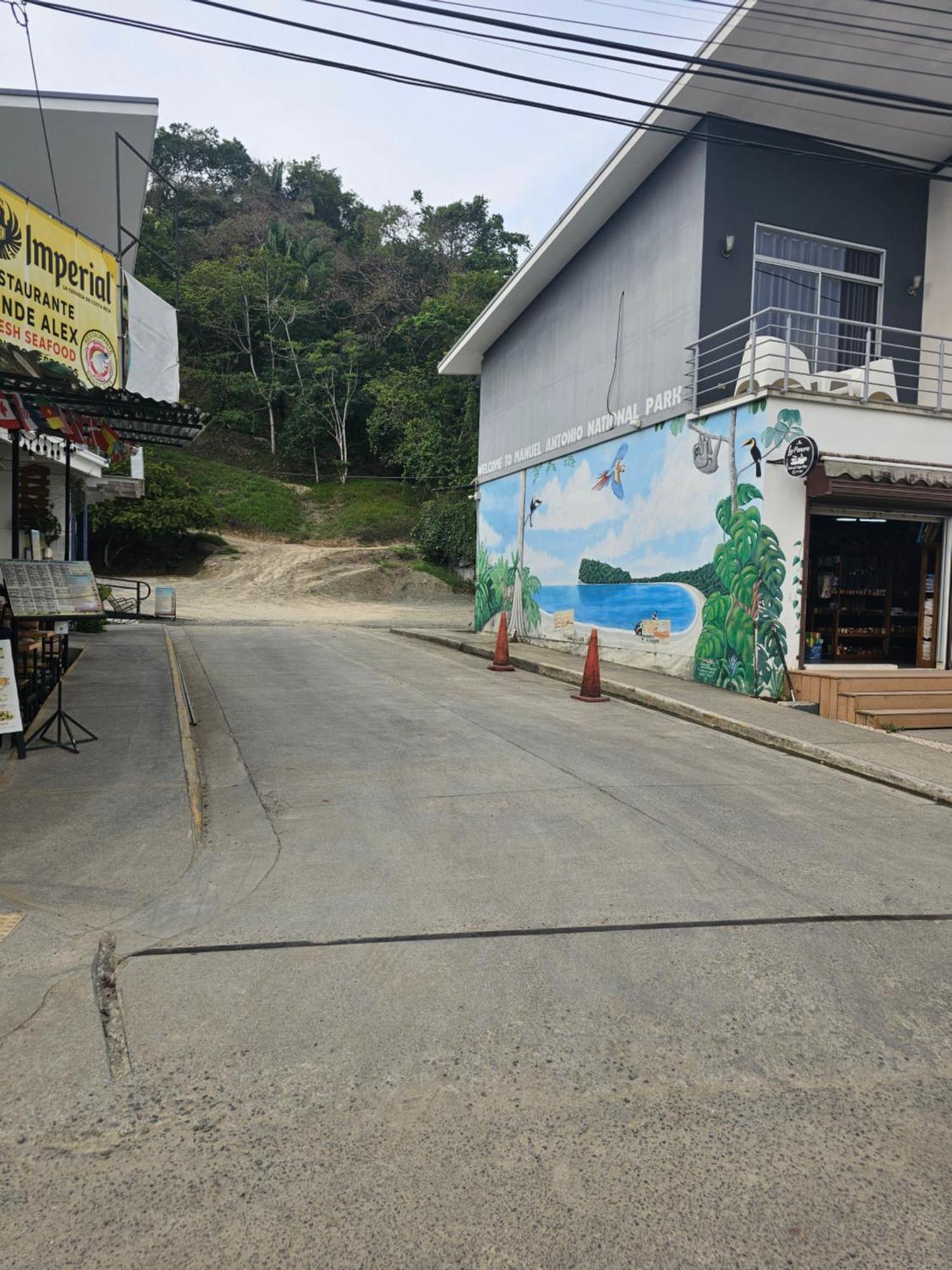 Pura Vida Apartments Quepos Rom bilde